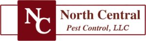 Rodent Treatment North Indianapolis IN